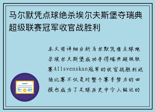 马尔默凭点球绝杀埃尔夫斯堡夺瑞典超级联赛冠军收官战胜利